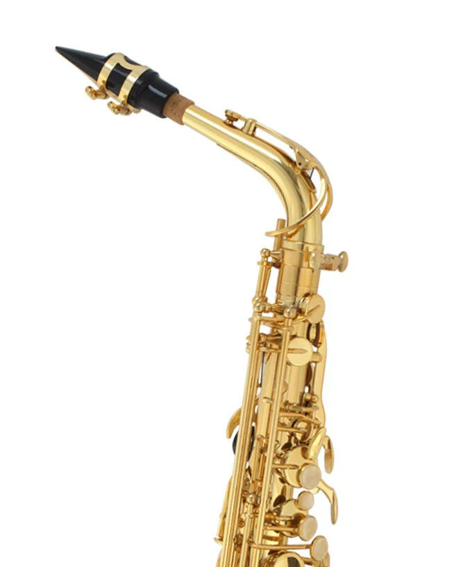 Buffet 100 Series Alto Saxophone - Image 3