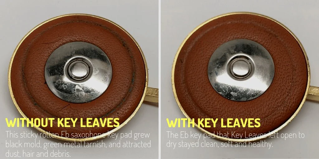 Key Leaves Sax Key Props - Image 4