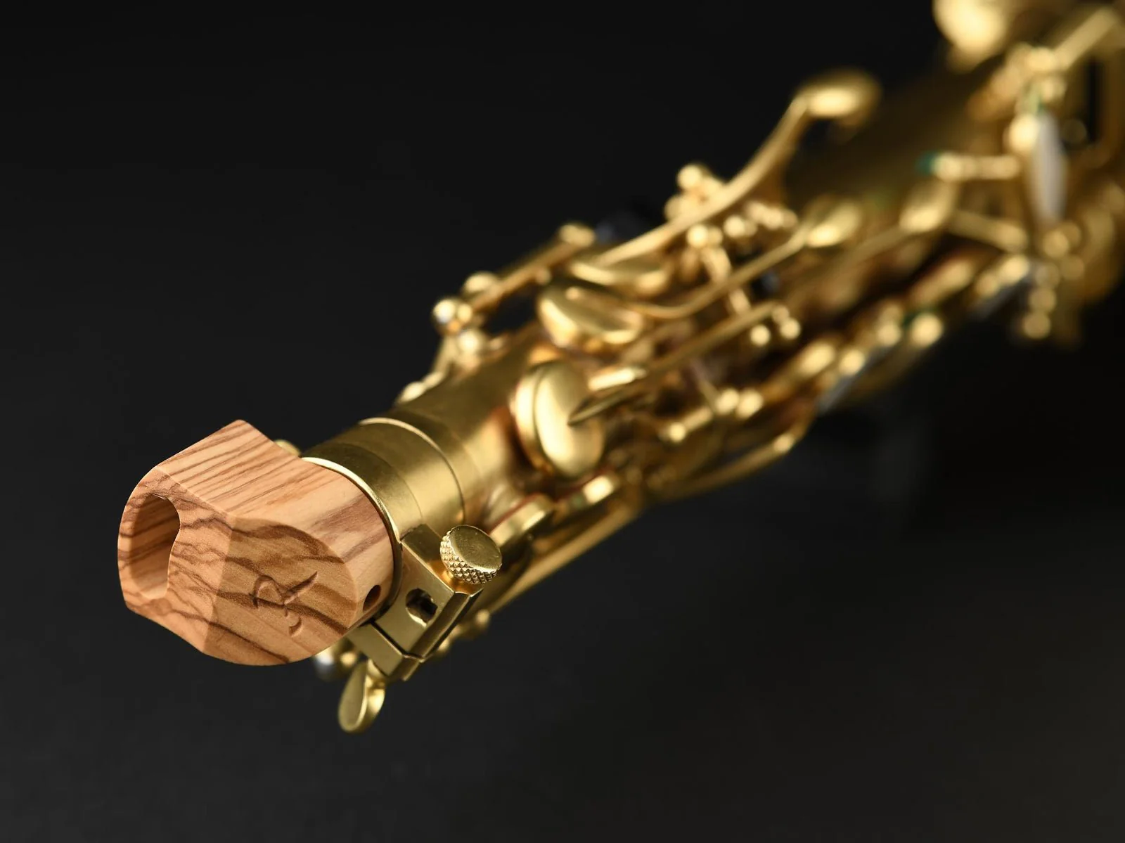Rampone & Cazzani Solista Alto Saxophone - Image 4
