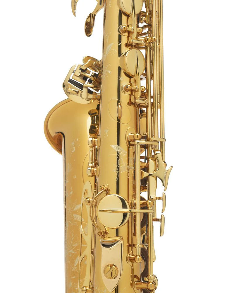 Selmer Paris Supreme Alto Saxophone - Gold Plated - Image 6