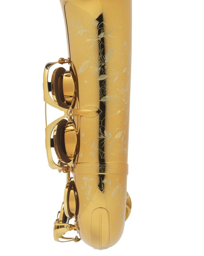 Selmer Paris Supreme Alto Saxophone - Gold Plated - Image 8
