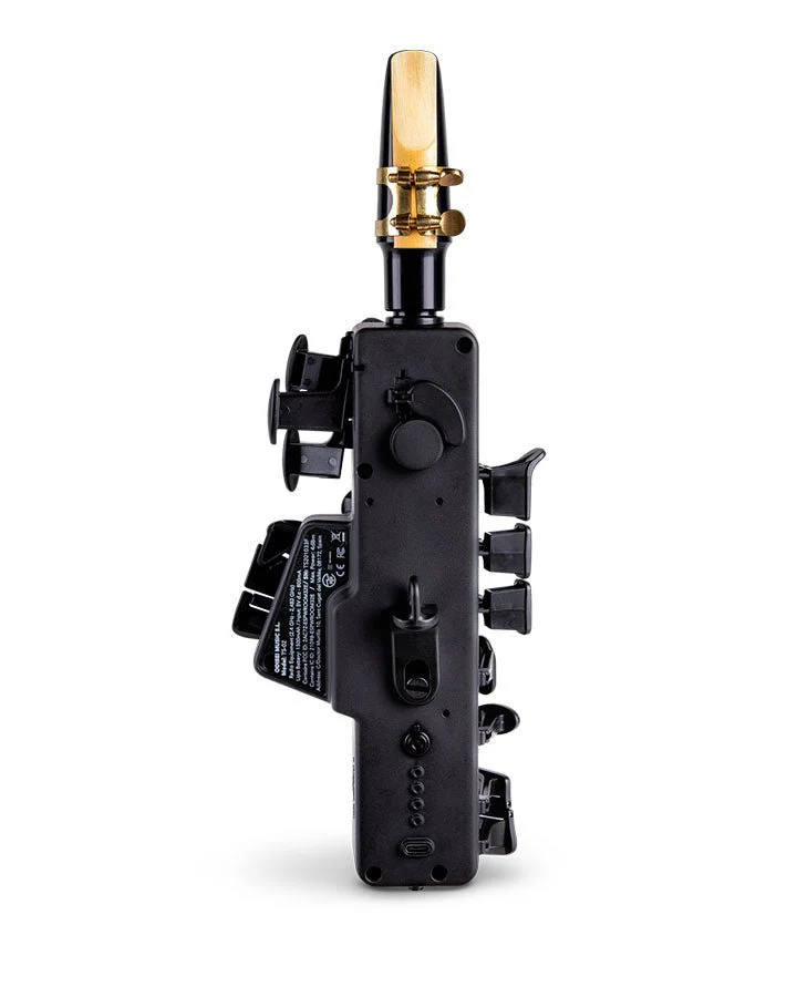 Travel Sax 2 - Image 10