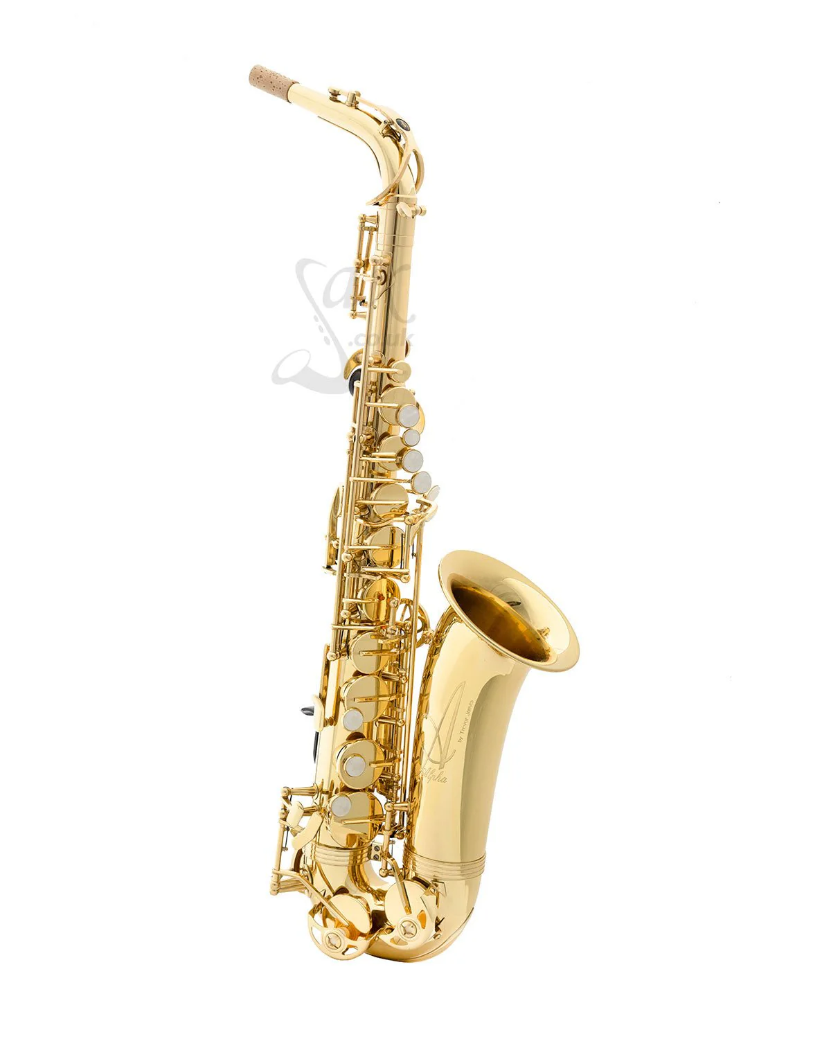 Trevor James - Alphasax - Gold Lacquer