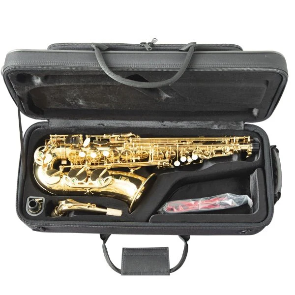 Trevor James - The Horn - Alto Saxophone - Gold Lacquer - Image 4