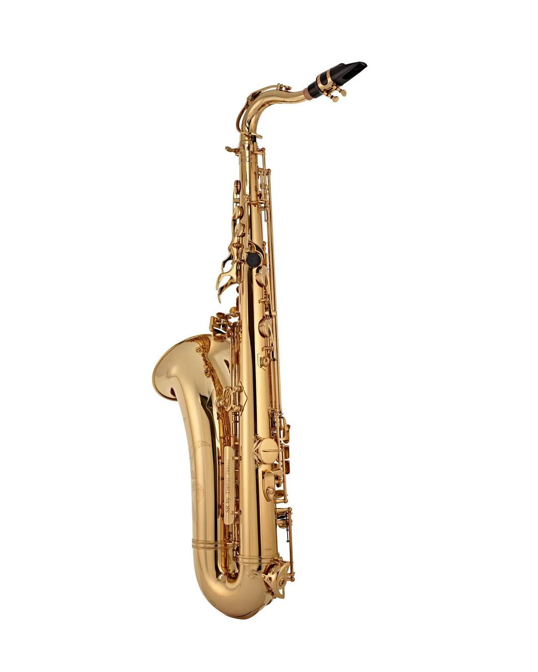 Trevor James - SR - Tenor Saxophone - Gold Lacquer - Image 2