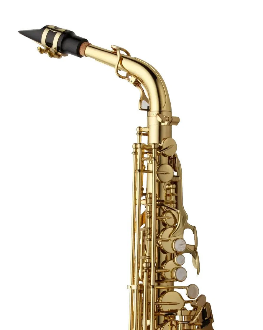 Yanagisawa AWO10 Alto Saxophone - Gold Lacquer - Image 3