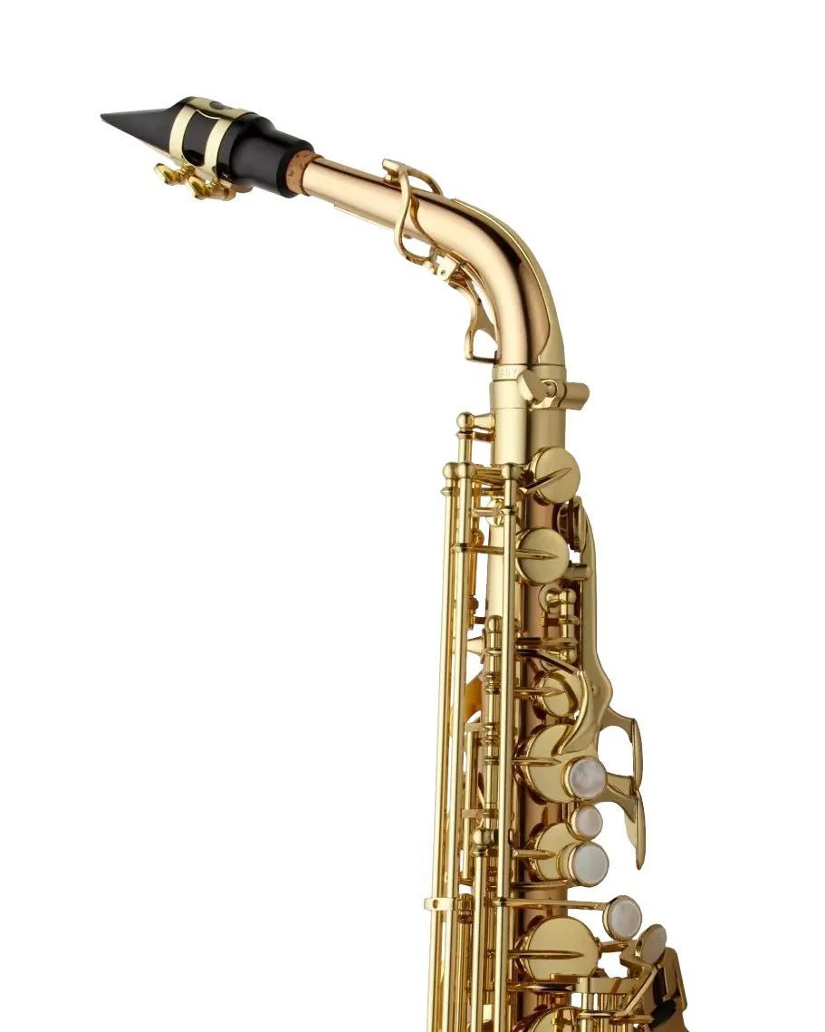 Yanagisawa AWO20 Alto Saxophone - Bronze - Image 3