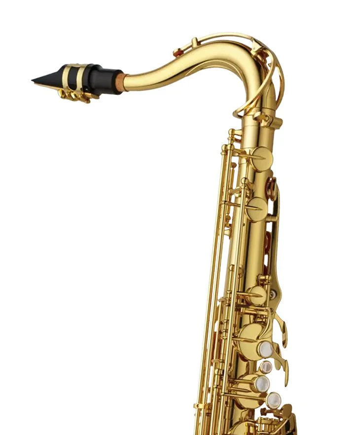 Yanagisawa TWO1 Tenor Saxophone - Image 3