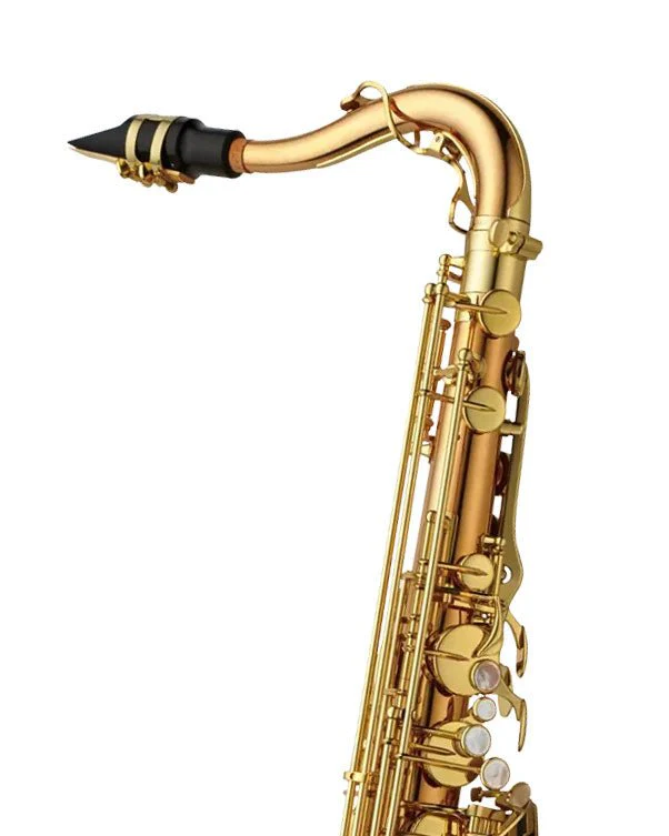 Yanagisawa TWO20 - Tenor Saxophone - Bronze - Image 3