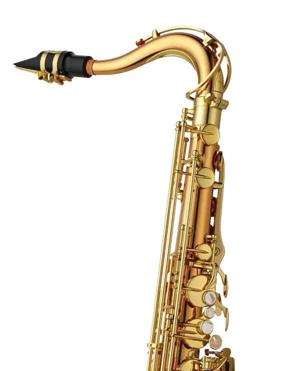Yanagisawa TWO2U - Tenor Saxophone - Unlacquered Bronze - Image 3
